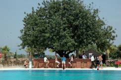 GARDEN OF SUN HOTEL Bars